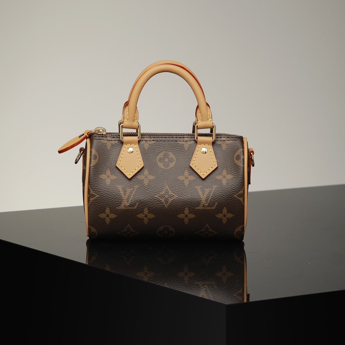 Nano Speedy -  LOUIS VUITTON