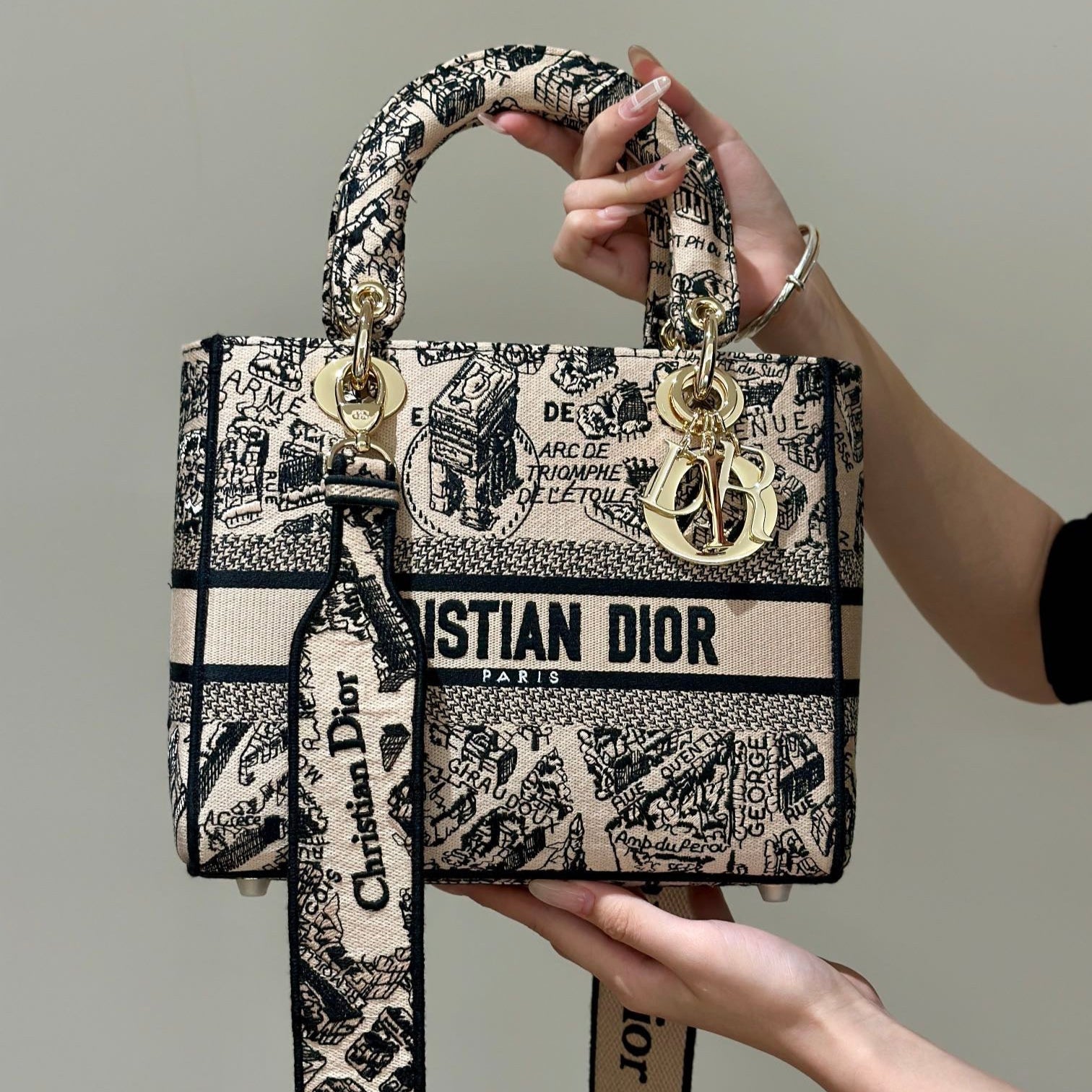 Embroidery Series - DIOR