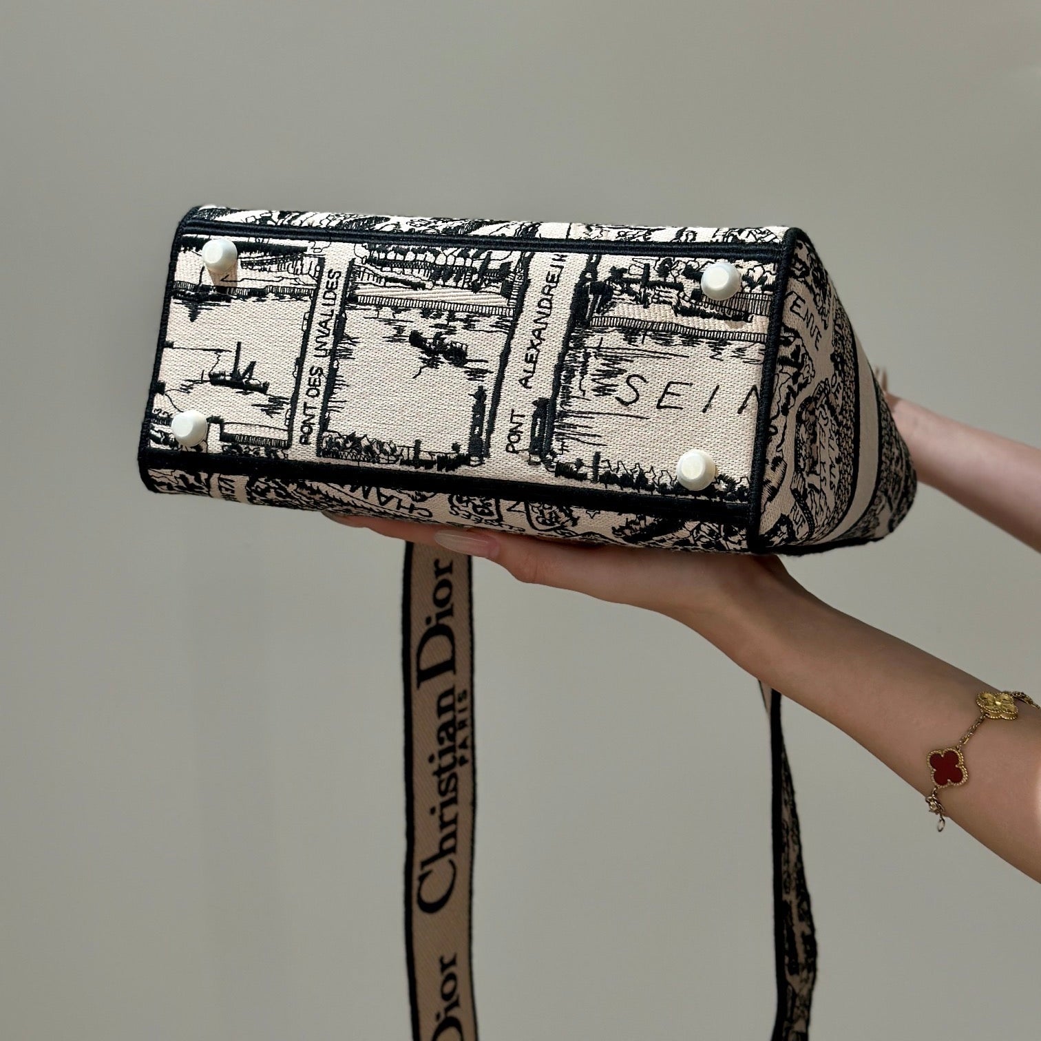 Embroidery Series - DIOR