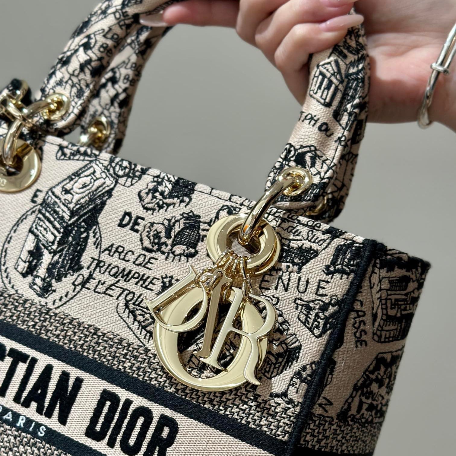 Embroidery Series - DIOR