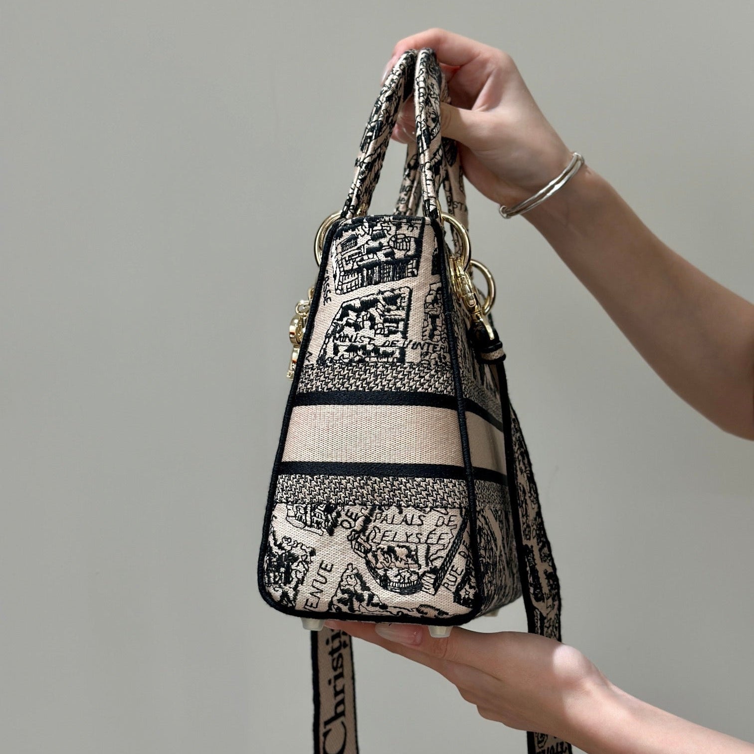 Embroidery Series - DIOR