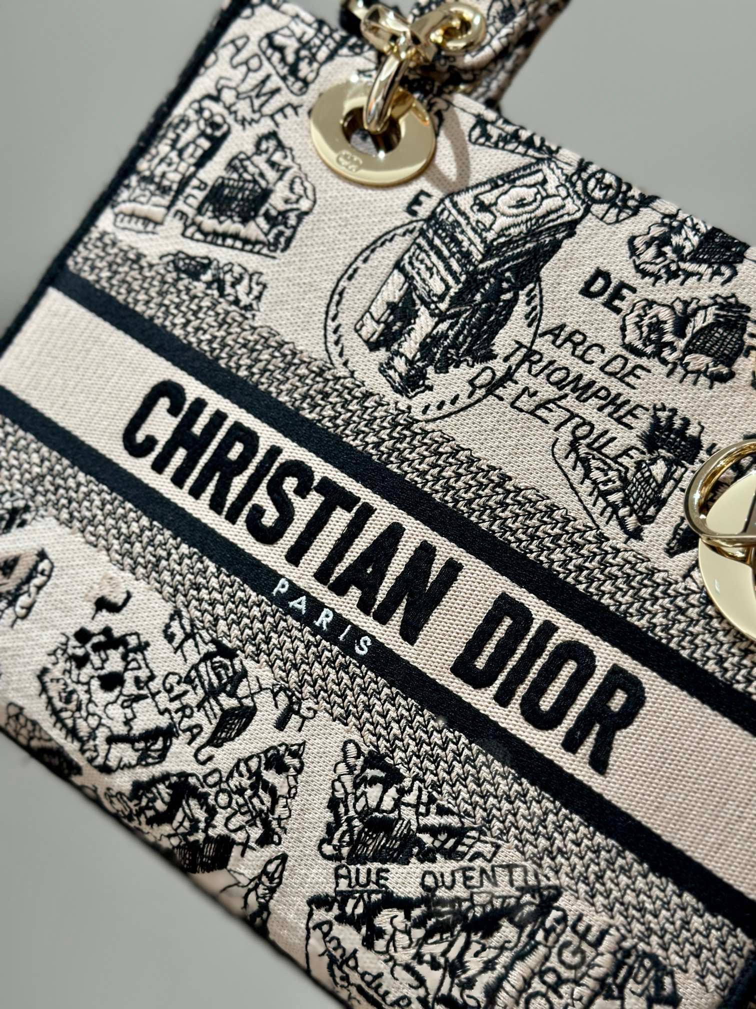Embroidery Series - DIOR