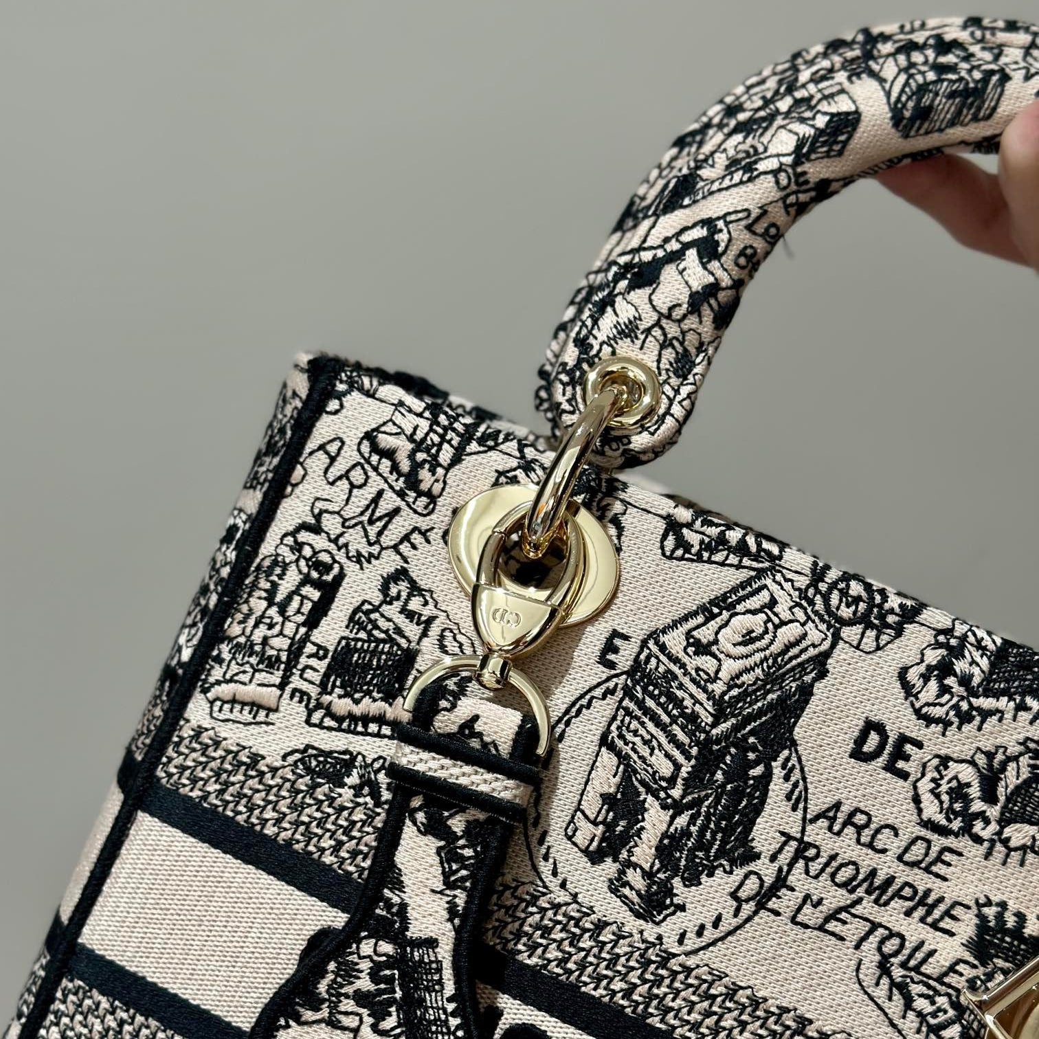 Embroidery Series - DIOR