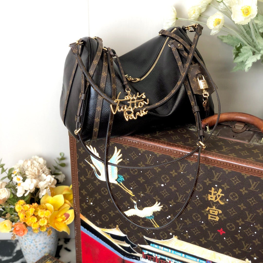 LV Express PM, MM, GM - LOUIS VUITTON
