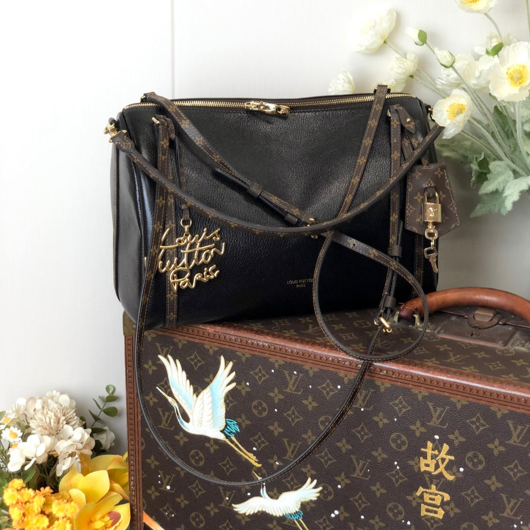 LV Express PM, MM, GM - LOUIS VUITTON