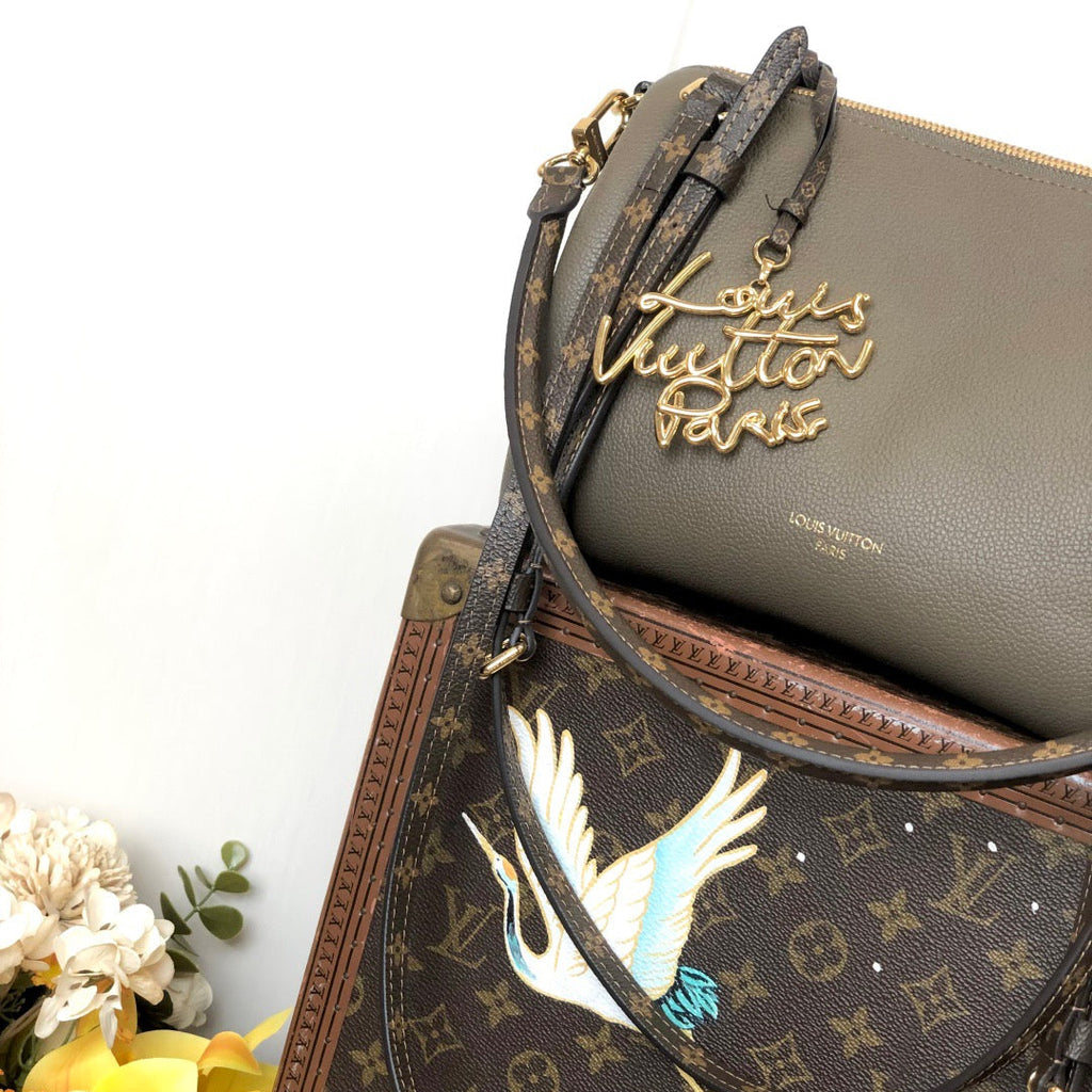 LV Express PM, MM, GM - LOUIS VUITTON