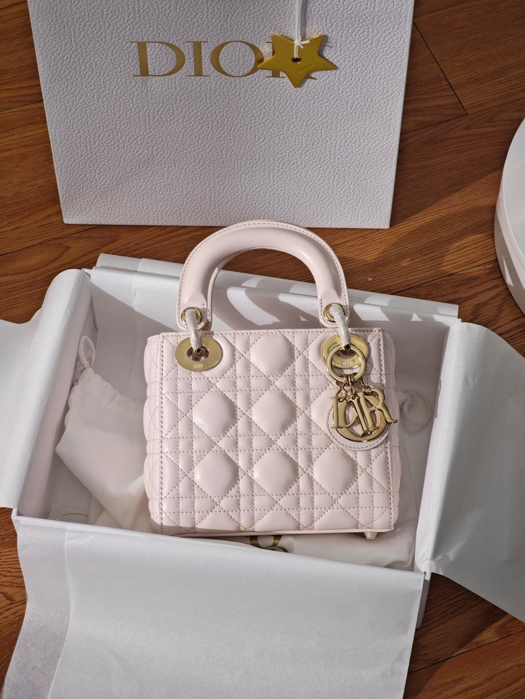 Mini Lady Dior Handbag - DIOR