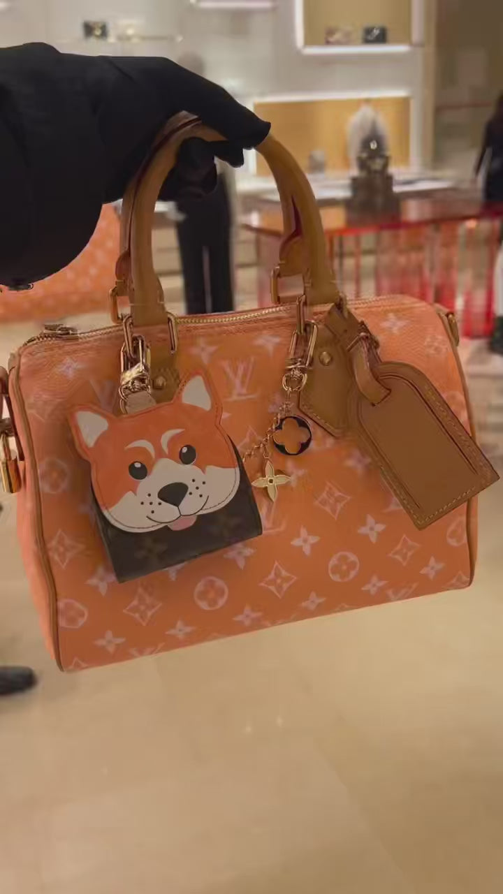 Speedy P9 Bandouliere - LOUIS VUITTON
